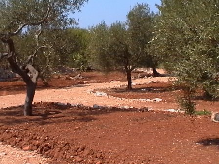 Mattoni su terreno a vincolo paesaggistico. Denunciati in due di Taviano e Taurisano